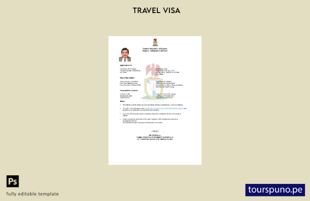 listo para imprimir la visa electrónica de Nigeria en plantilla de Word y PDF